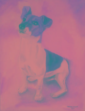 Acryl op doek; Jack Russel