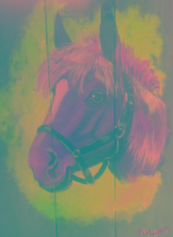 Acryl op steigerhout; Paardenhoofd